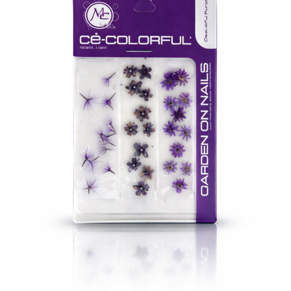 NATURALEZA MUERTA MORADA