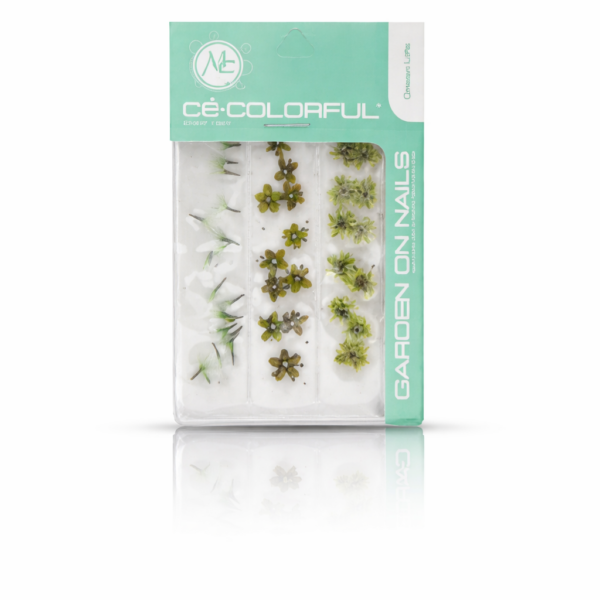 NATURALEZA MUERTA VERDE