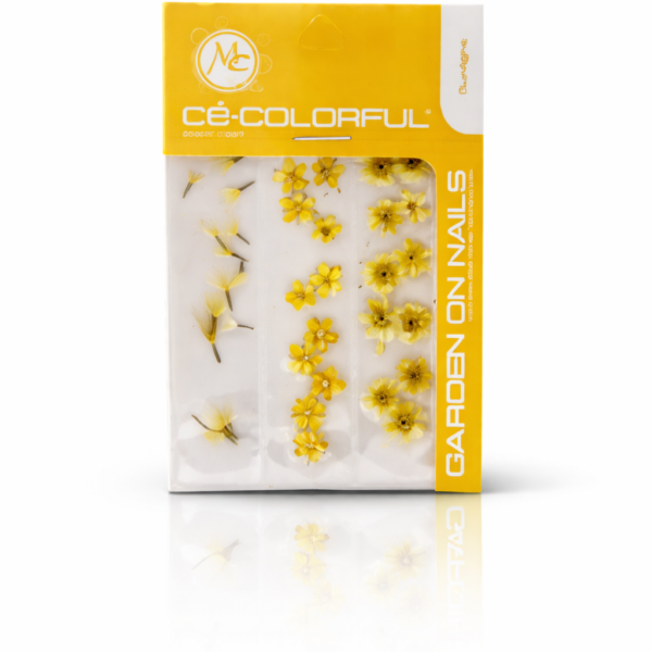 NATURALEZA MUERTA NARANJA